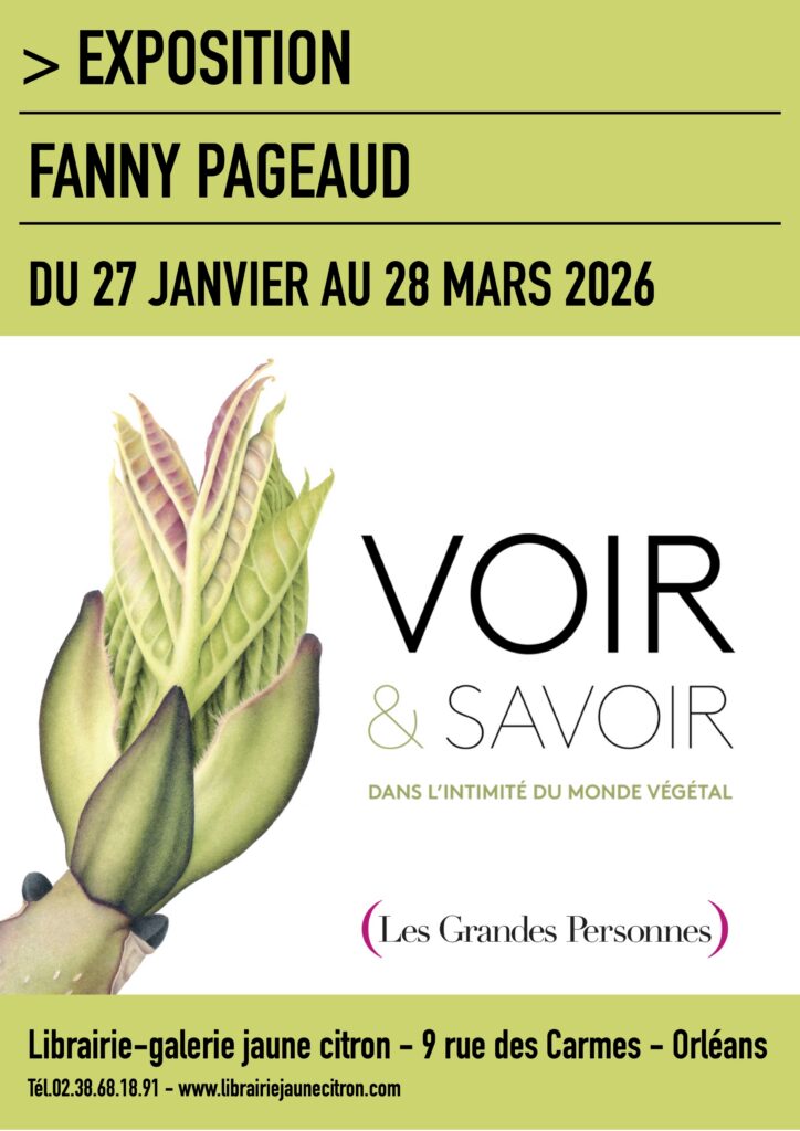 Exposition de Fanny Pageaud à la librairie-galerie jaune citron